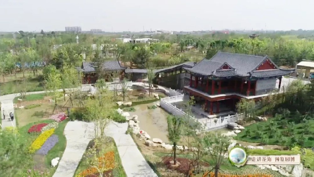 滄州園項(xiàng)目喜獲河北省園博會“造園藝術(shù)綜合獎金獎”