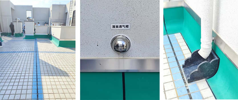 1705976409139957.png 640 (9).png